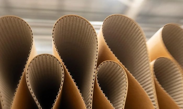 Corrugated board emerging in loops from the corrugator at the Lahore plant